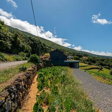 Rosa Cha Dom wakacyjny