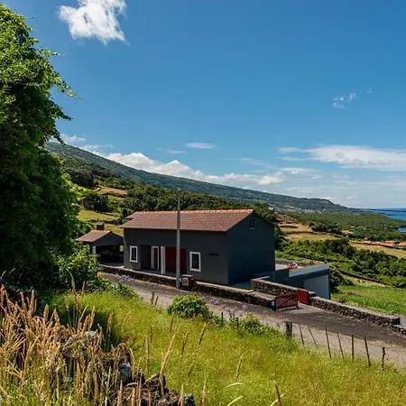 Rosa Cha Dom wakacyjny *