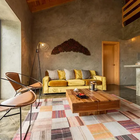 Rosa Cha Santo Amaro (Azores)